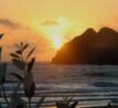 Oregon (45)